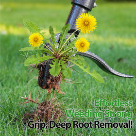 RexWeed works on lawns driveways and gravel surfaces