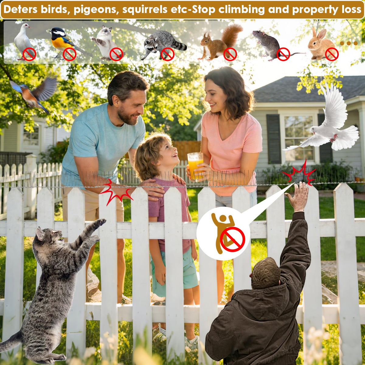 RGBRW Bird Spikes durable PP transparent design protecting roofs and fences.