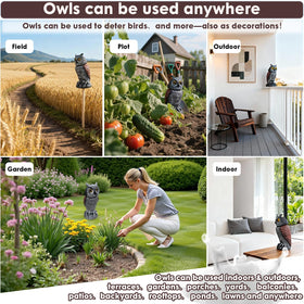 RGBRW indoor-outdoor owl decor suits patios, gardens, and balconies.