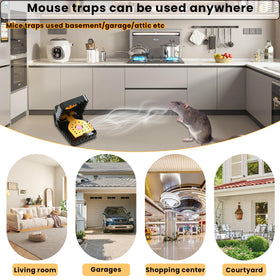 RGBRW mousetrap warranty communicates durable build and long-term value.