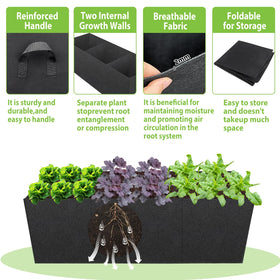 RGJ fabric raised bed with multi-grid compartments shows clear root separation for diverse crops