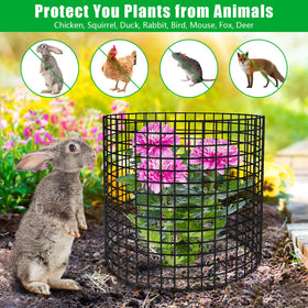 RGJ animal protection mesh in garden setting helps deter nibbling by wildlife.