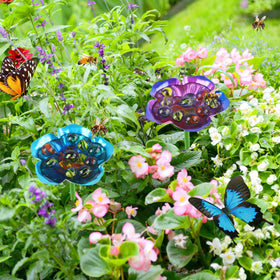 rgj waterer invites bees and butterflies to your flower pot