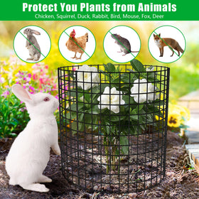 RGJ assembled cage around a plant shows easy setup and animal protection.