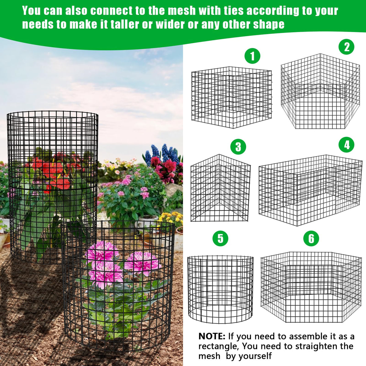 RGJ garden protection on roses and lettuce demonstrates versatile use.