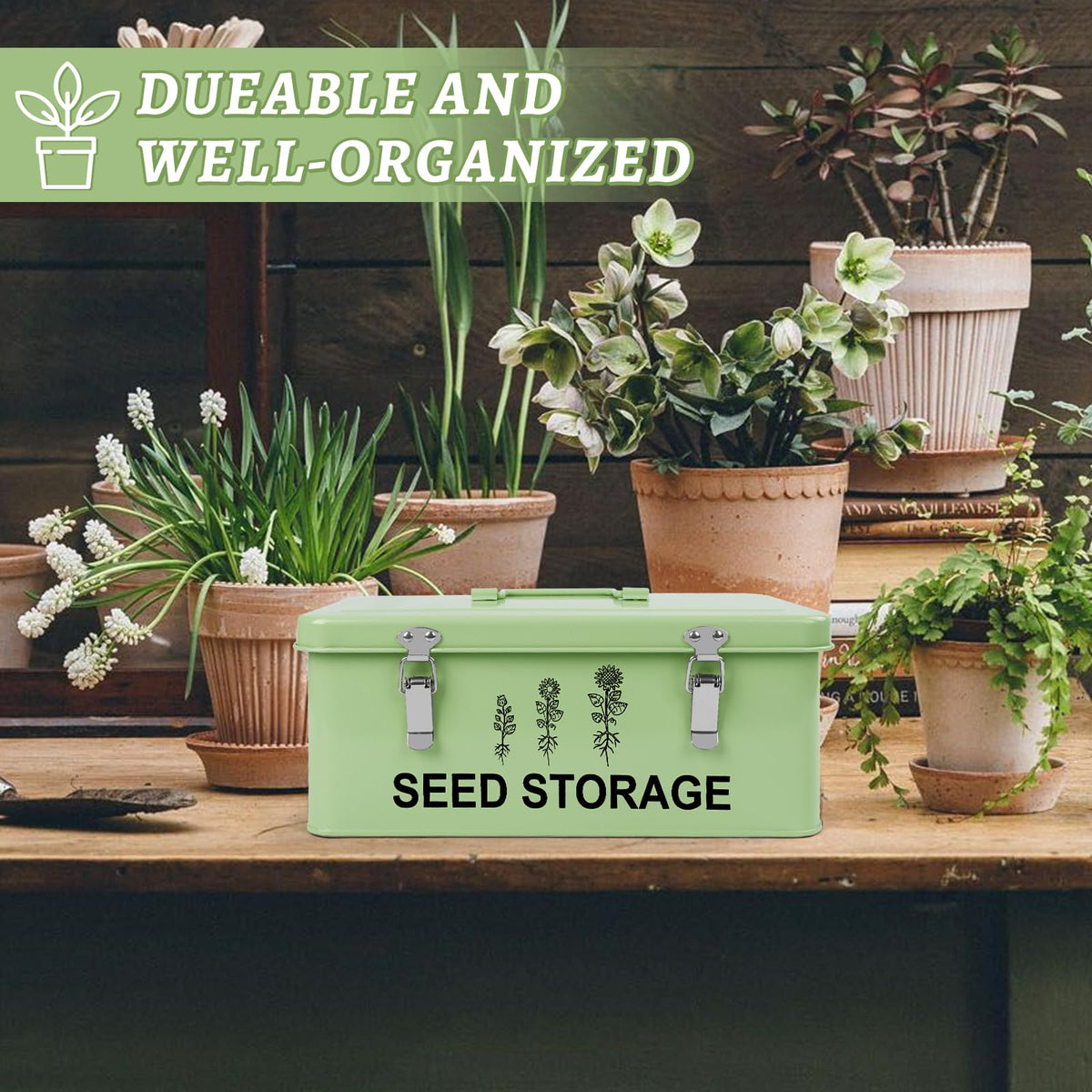 RGJ seed envelopes and 64 labels simplify labeling and variety retrieval.