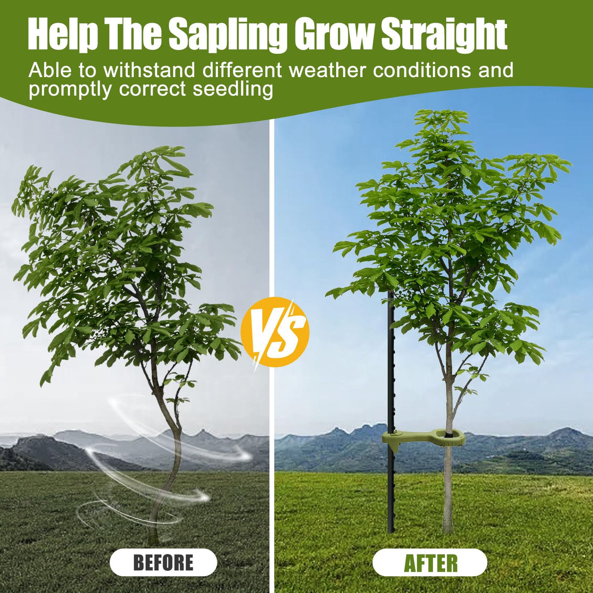 RGJ tree supports easy installation for quick setup in any garden