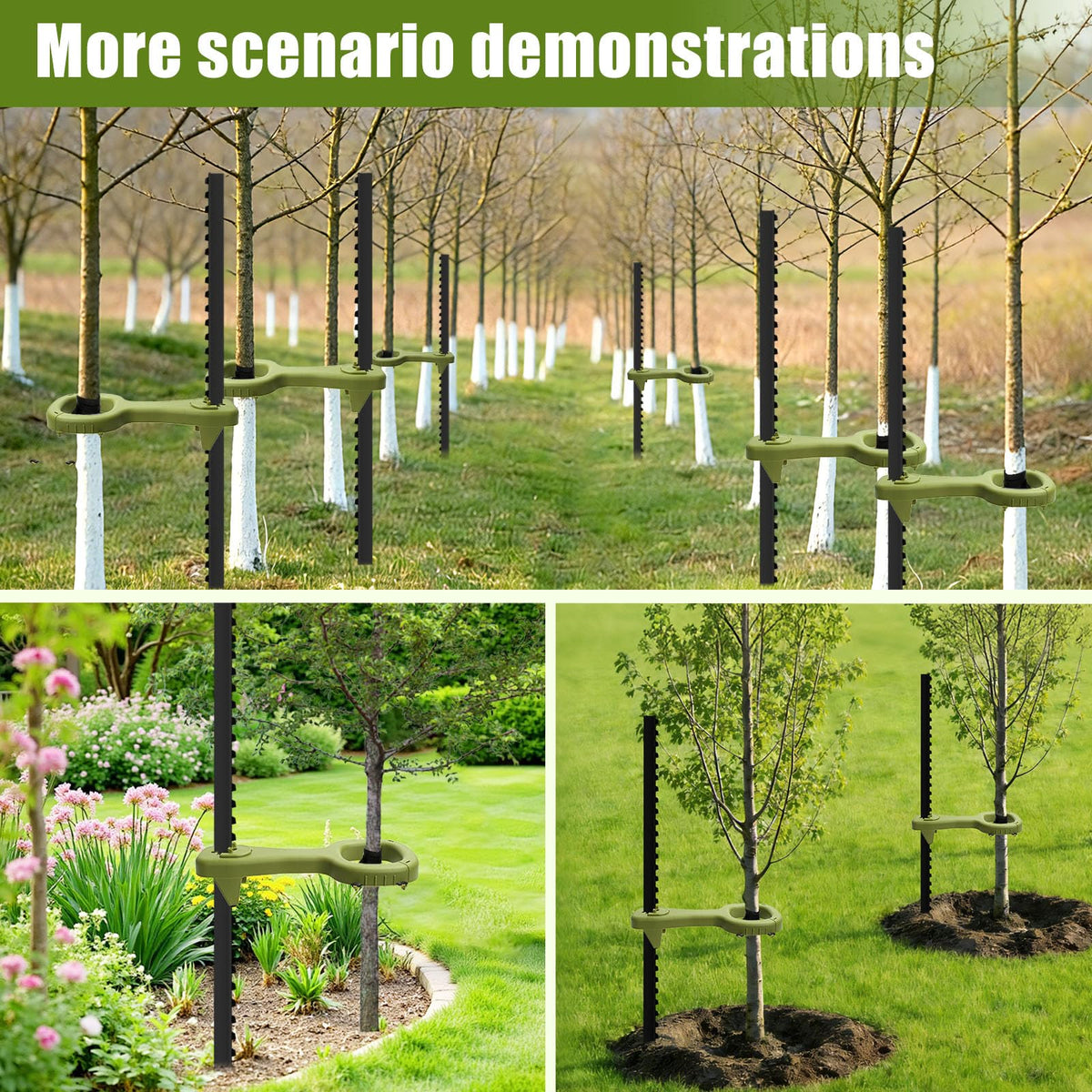 RGJ tree supports for tall plants and shrubs, easing stabilization in open spaces