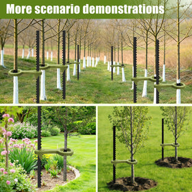 RGJ tree supports for tall plants and shrubs, easing stabilization in open spaces