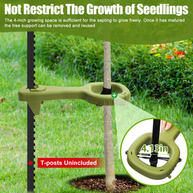 RGJ tree supports leaf-friendly design protects growth on saplings and shrubs