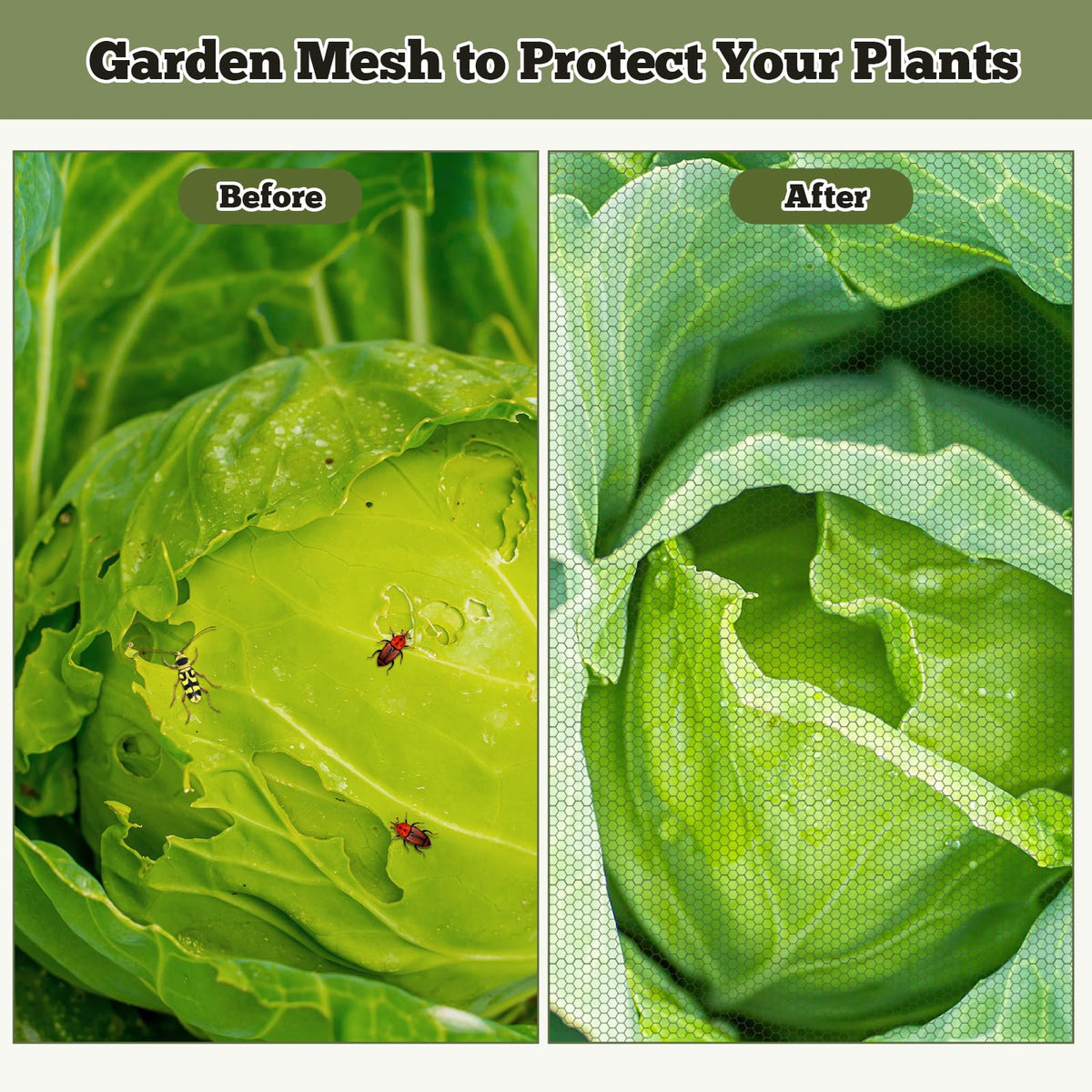 RGQSUN bird and insect barrier netting guards plant areas with light setup