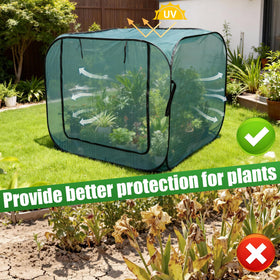 RGQSUN protects seedlings from birds, insects, and small wildlife.