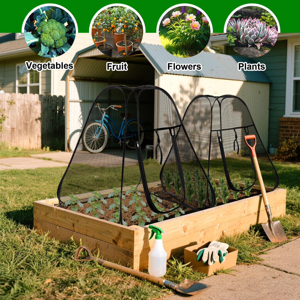 RGQSUN pop-up garden netting cover spacious interior for small plants.