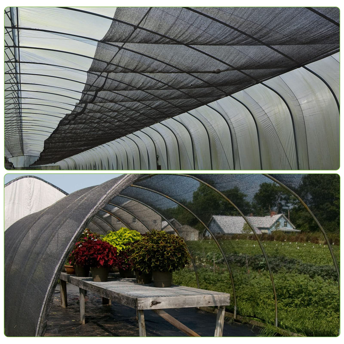 RGQSUN net protects vegetables, fruits, and flowers while letting light through