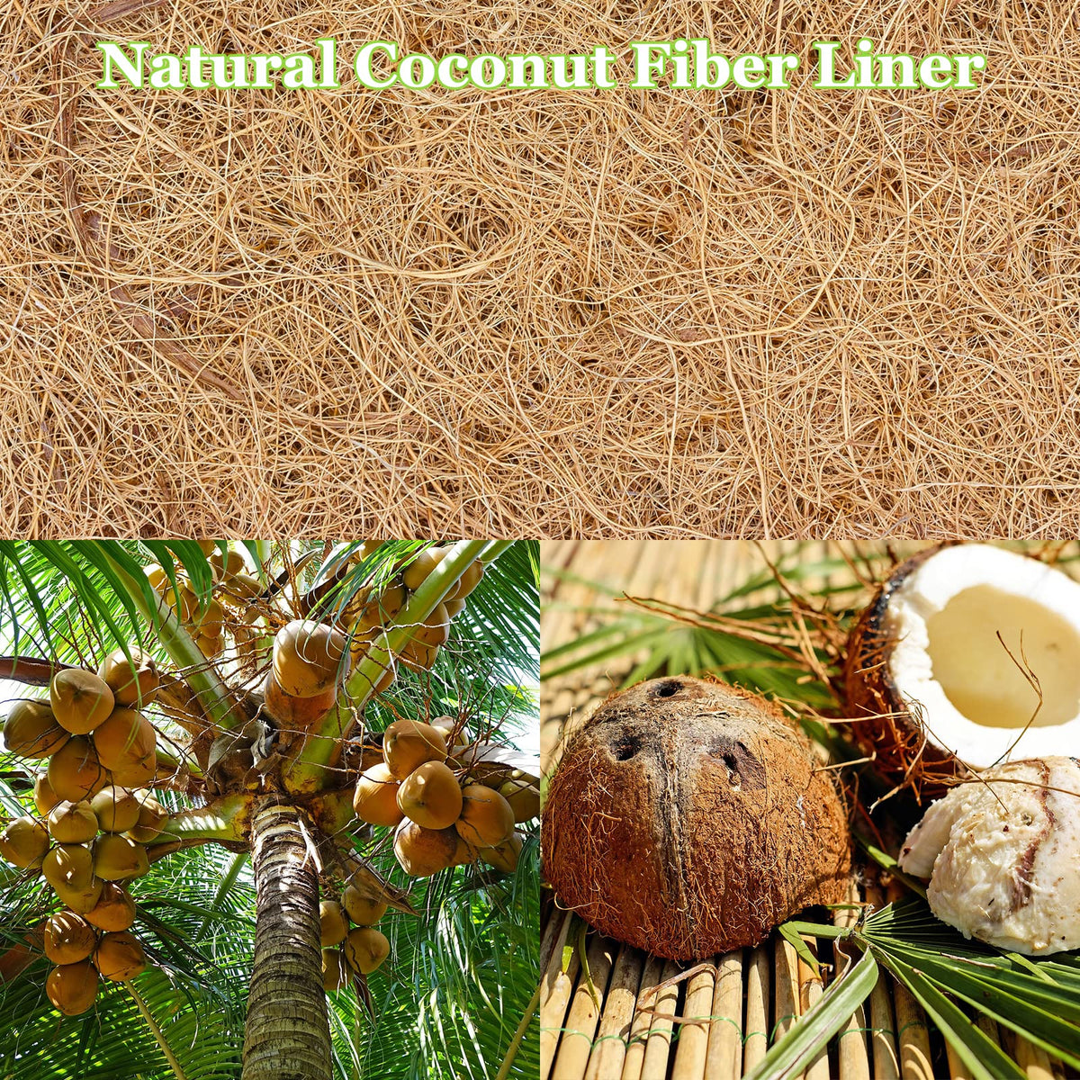 Riare coco liner soaking to reshape before use for precise fitting.