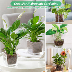 Riare aquaponics substrate supports plant roots and water filtration.