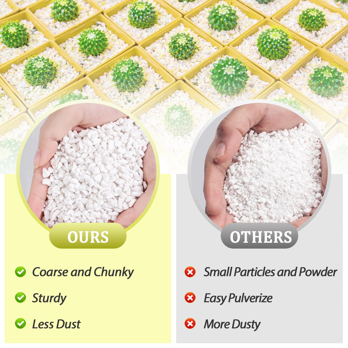 Riare perlite used as a soil amendment for better root growth