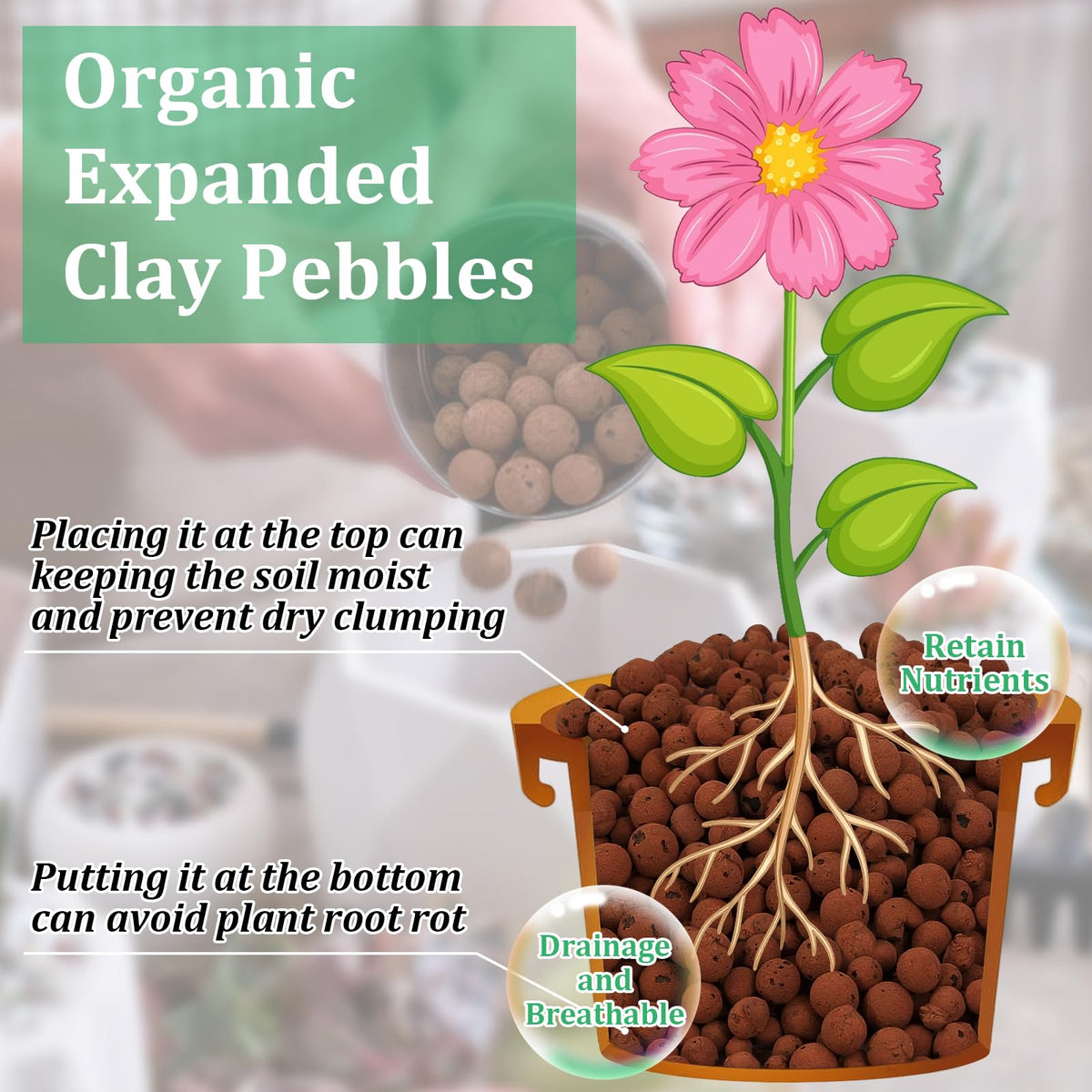 Riare clay pebbles ensure drainage and air flow to prevent root rot in pots.
