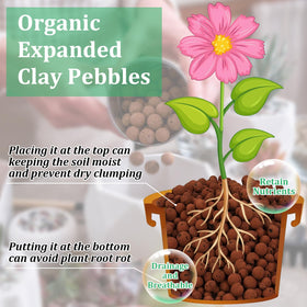 Riare clay pebbles ensure drainage and air flow to prevent root rot in pots.