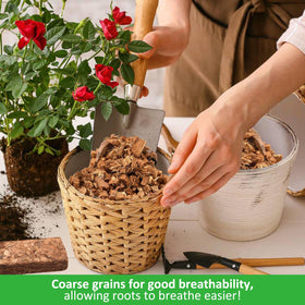 Excellent aeration and drainage prevent root saturation in pots.