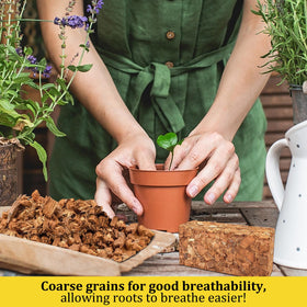 Coconut husk substrate provides aeration to plant roots.