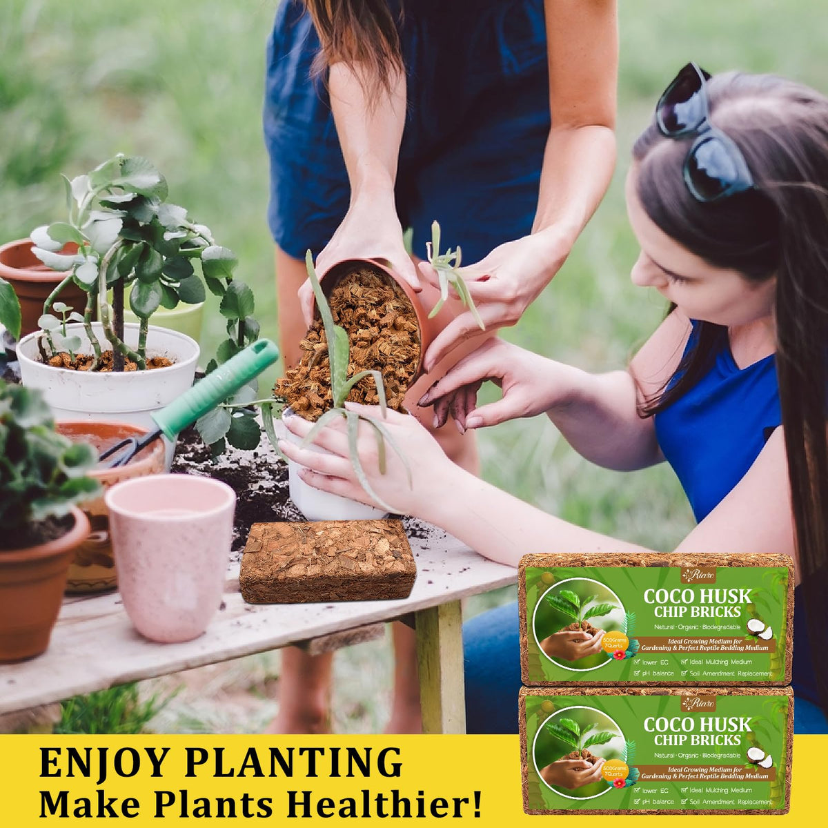 Versatile Riare Coco Chips Bricks for garden pots and beds.