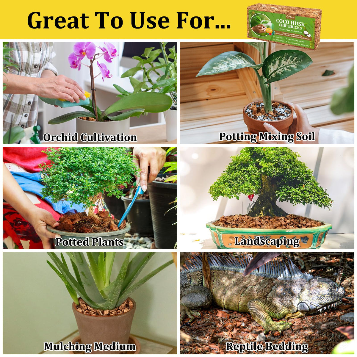 Riare substrate being used as mulch in pots and beds.