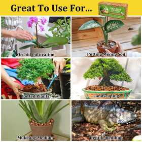 Riare substrate being used as mulch in pots and beds.