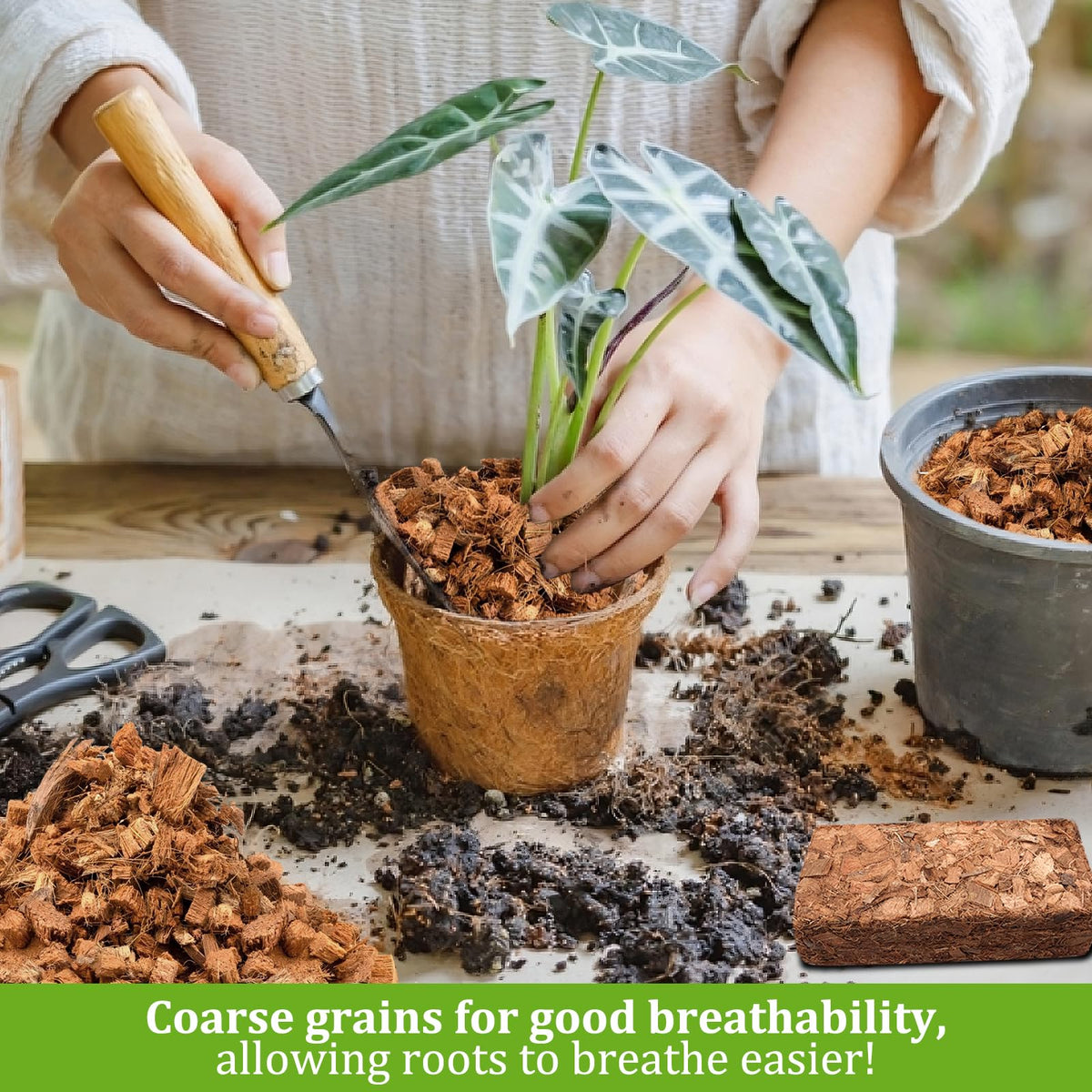 Riare Coco Chips mulch for indoor and outdoor plants preserves moisture balance.