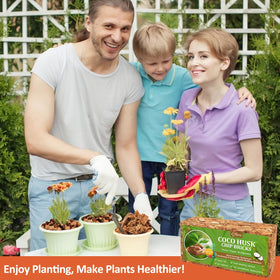 Riare Coco Chips in pots for vibrant plant growth and color