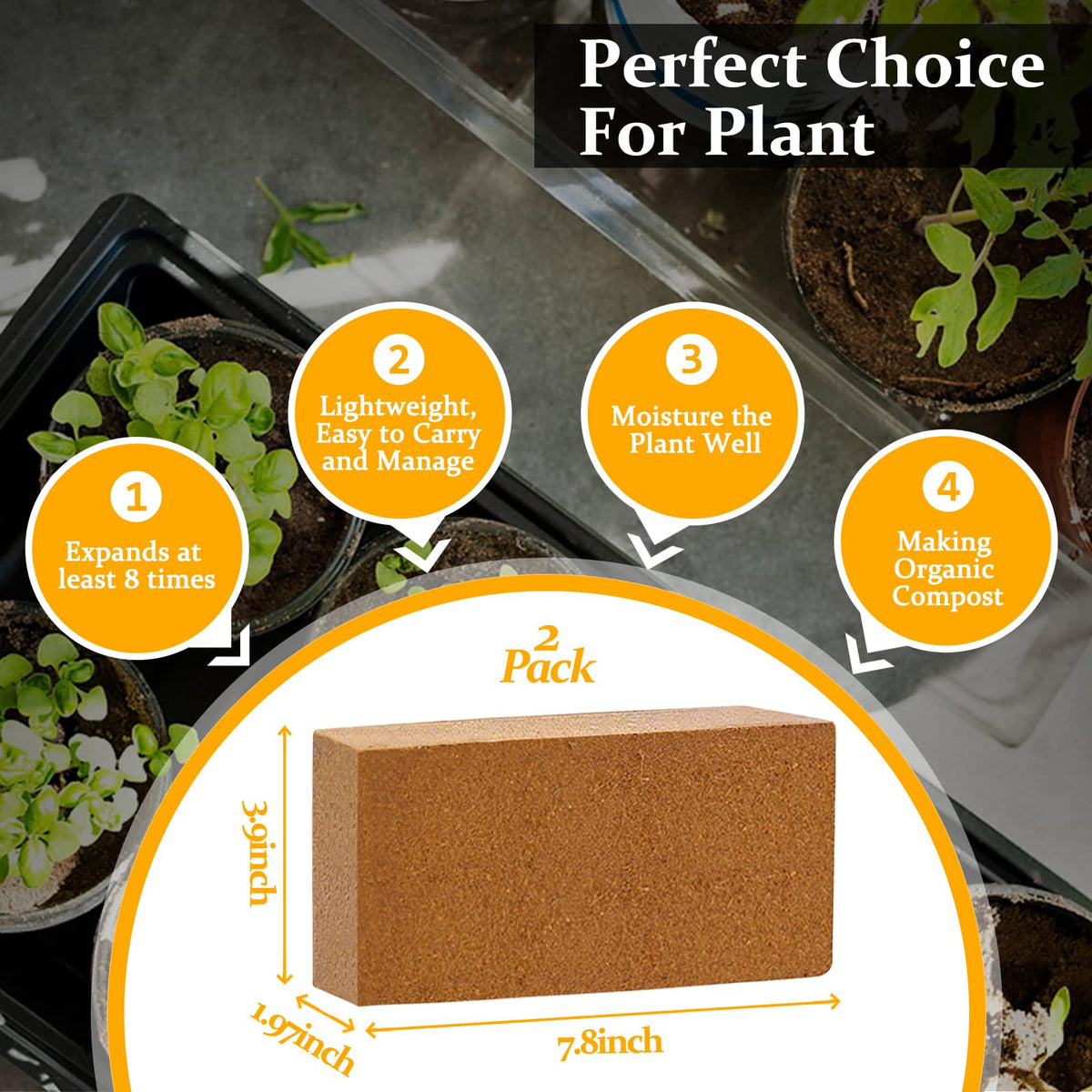 Riare Coco Coir Bricks 8x4x2 inch size demonstrate compact, lightweight soil foundation.