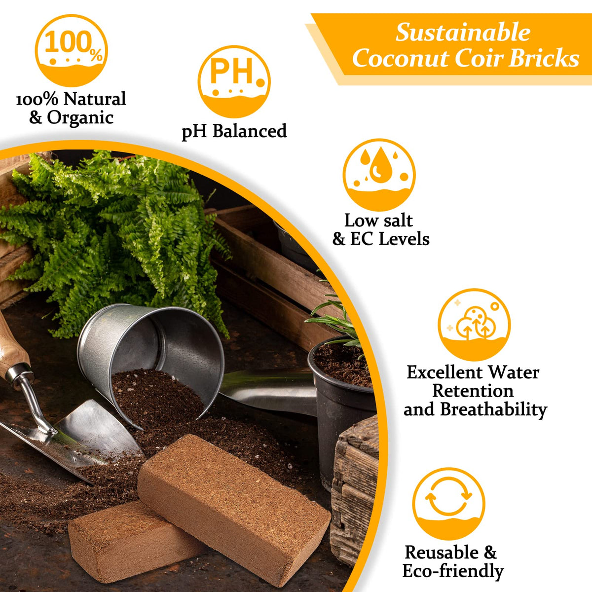 Riare Coco Coir Bricks expansion reveals airy, fluffy soil as it rehydrates.