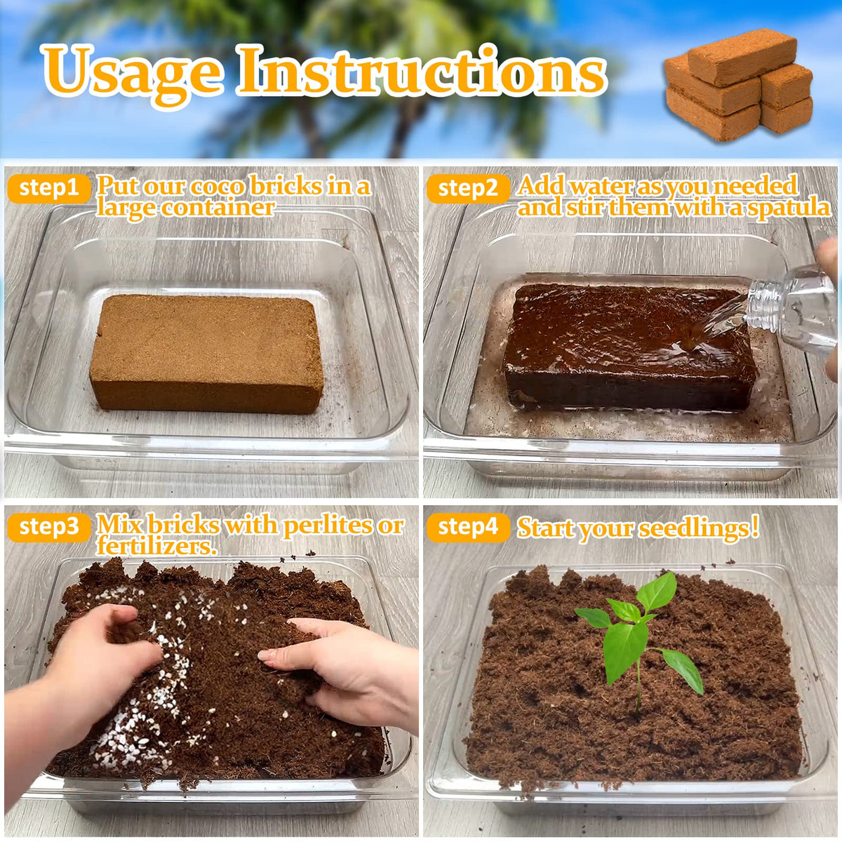 Riare Coco Coir Bricks retain moisture while allowing drainage for vibrant seedlings.