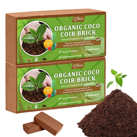 Riare Coco Coir Bricks packaging shows two compact blocks for easy storage and use.
