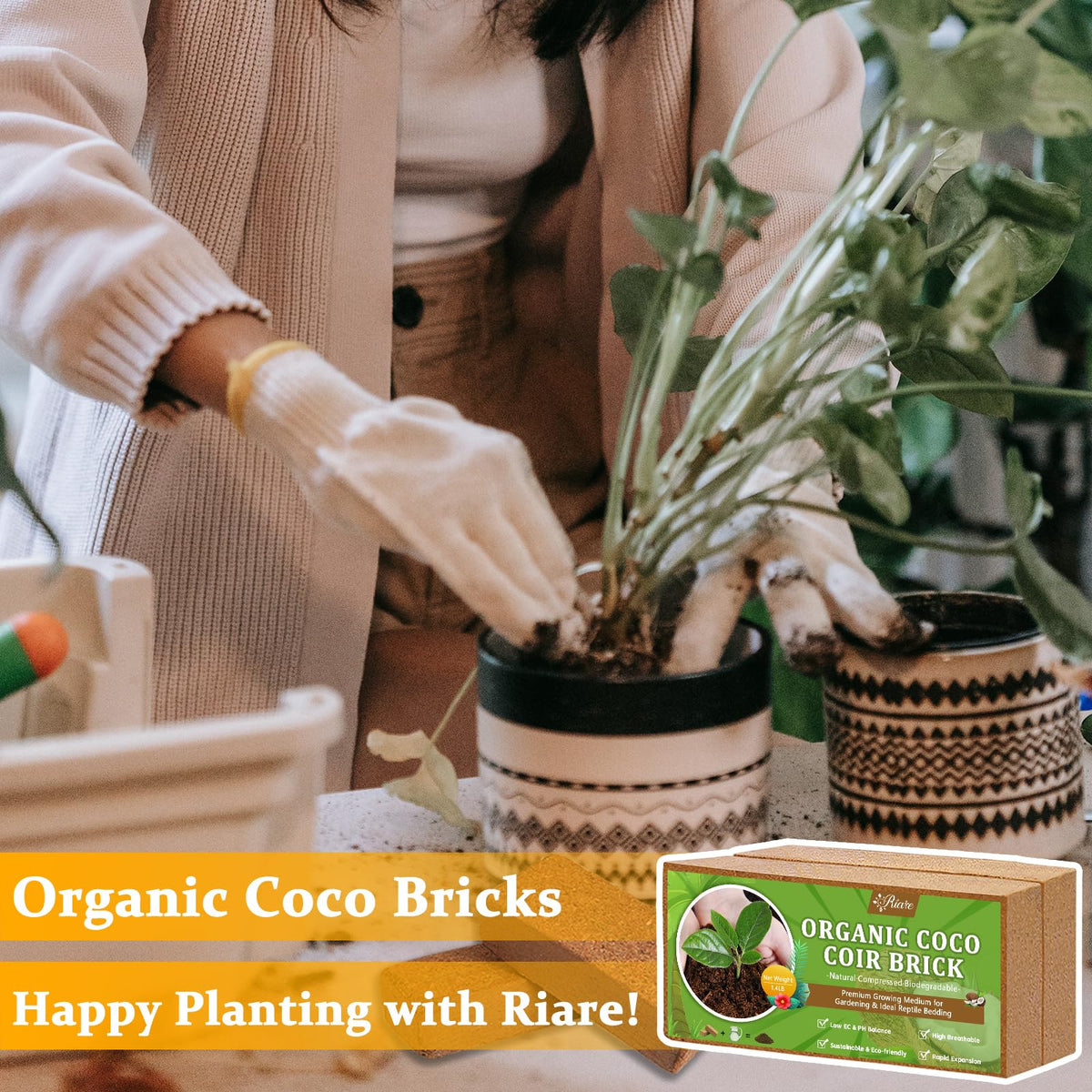 Riare Coco Coir Bricks suitable for seed germination, microgreens, raised beds, and vermicomposting.