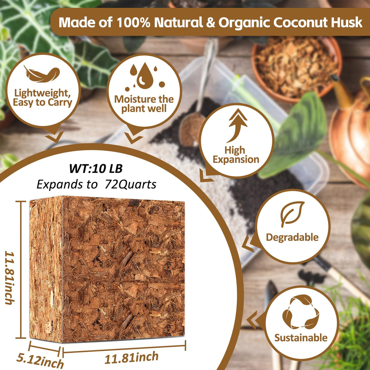 Riare coco husk bricks visual shows expansion and airy texture for roots.