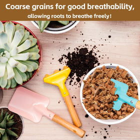 Riare coco husk mulch adds natural color for indoor and outdoor plants.