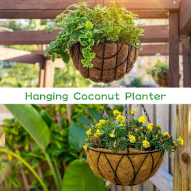 Suitable for flowers, vegetables, and decor in homes and venues.