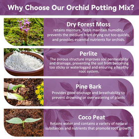 Riare orchid soil detail highlighting coco peat nutrients and drainage.