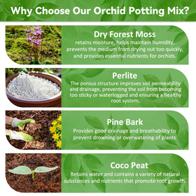 Riare coco peat mix adds nutrients and moisture retention for thriving roots.
