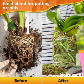 Riare cocopeat segment highlights natural nutrients supporting robust root growth.