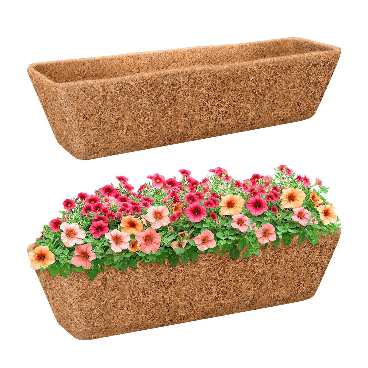 Riare coconut liner front view shows 30x7 size for wall planters, promoting healthy root growth.