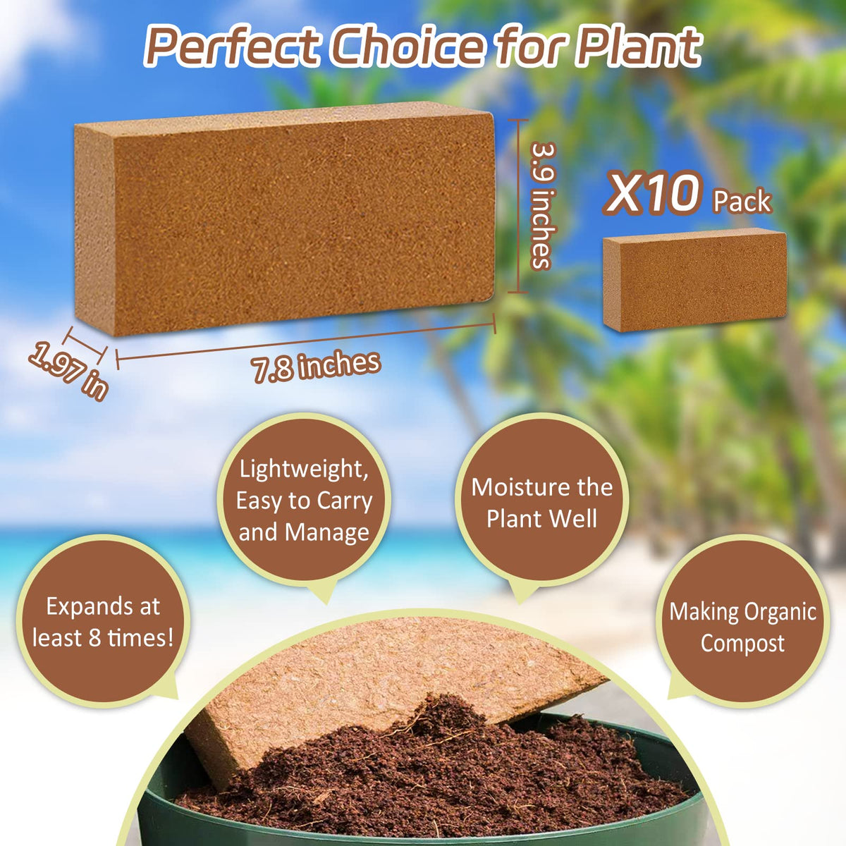 Expanded coco coir bricks show airy texture for seedlings.