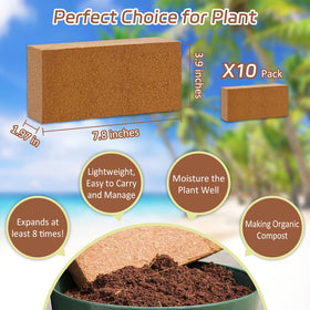 Expanded coco coir bricks show airy texture for seedlings.
