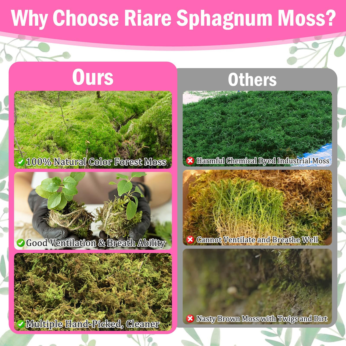 Riare decorative moss for DIY crafts adds natural green texture to displays.