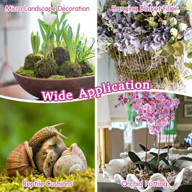 DIY crafts with Riare moss for decorative terrariums and fairy gardens