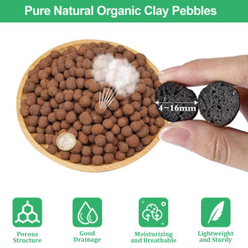 Riare expanded clay pebbles for hydroponics offer excellent drainage and aeration.