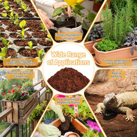 Riare expanded coconut fiber blocks ready for transplanting and reptile bedding when dried.
