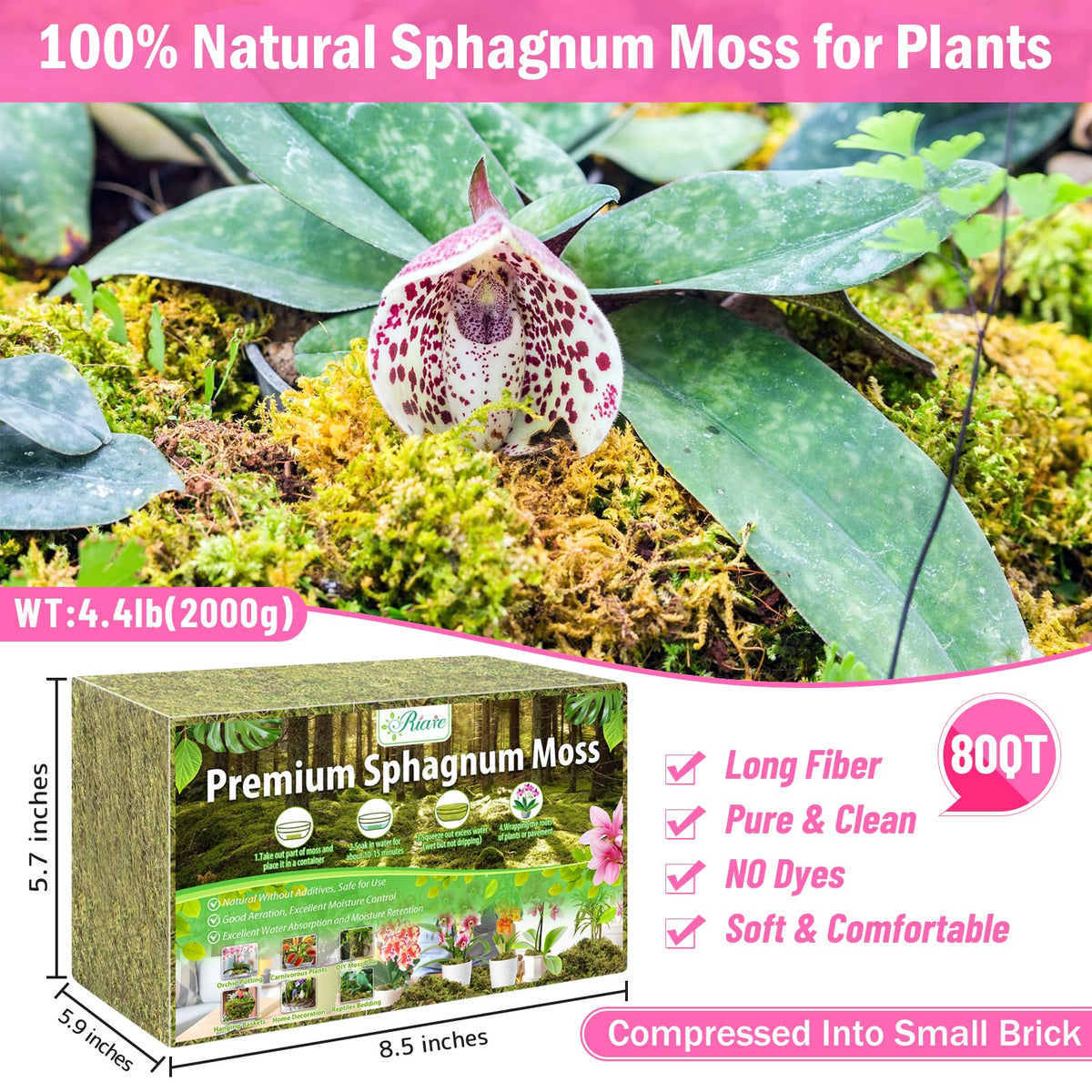 Riare expanded sphagnum moss after soaking shows fluffy texture for roots.