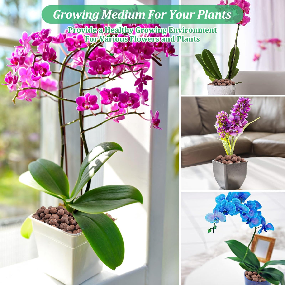 Riare grow media suits orchids, succulents, cacti, and olive trees for healthy containers.